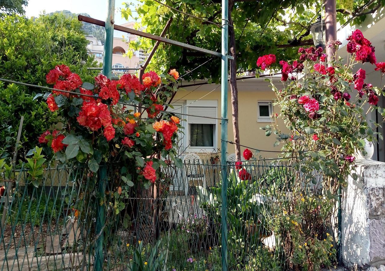 Apartman Lora Budva Eksteriør billede